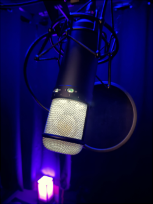 Studio microphone and pop filter in the Blue Sky vocal booth